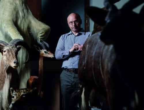 Samuel Cordier, collectionneur de rencontres